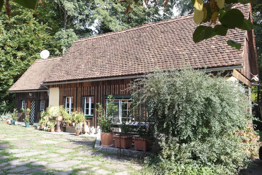 Villa Presshaus Alte Muehle Stainz Esterno foto